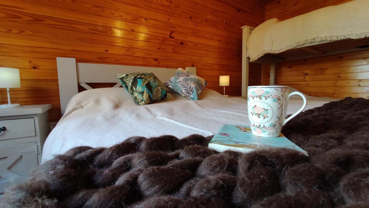 La Comarca Azul Villa El Calafate Ngoại thất bức ảnh